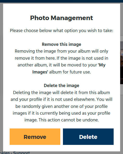 Delete dialog on a photo