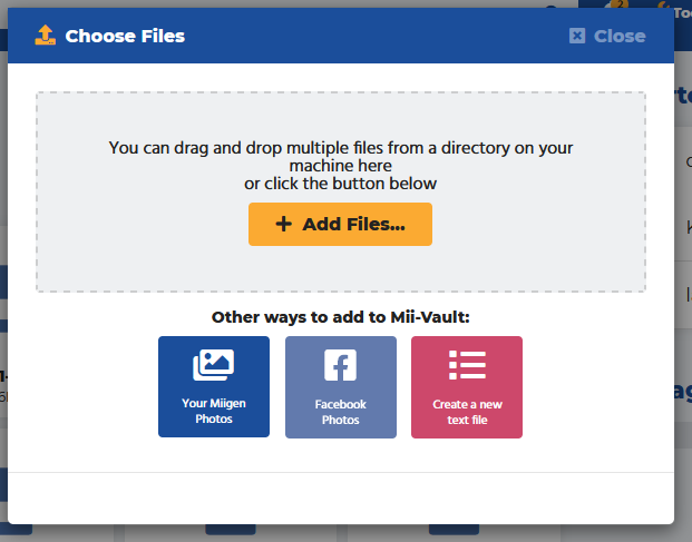 The Miigen Mii-Vault tool Choose Files