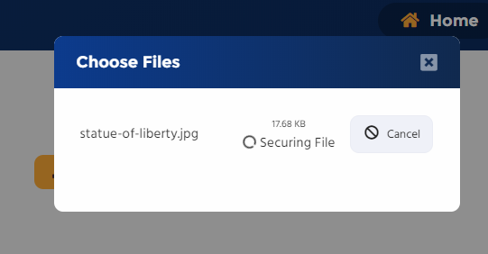 The Miigen Mii-Vault tool file upload progress